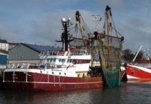 Research: High-res data offer most detailed look yet at trawl fishing footprint around the world —