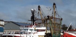 Research: High-res data offer most detailed look yet at trawl fishing footprint around the world —