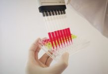 Research: Potential assay artefacts in anti-malarial screening documented —