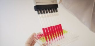 Research: Potential assay artefacts in anti-malarial screening documented —