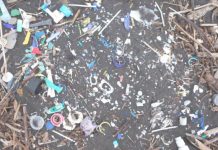 Research: Increase in plastics waste reaching remote South Atlantic islands —
