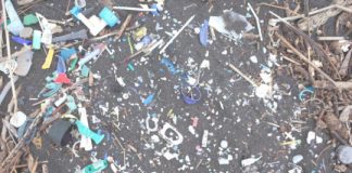 Research: Increase in plastics waste reaching remote South Atlantic islands —