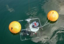 Research: Swiss lakes as a model system —