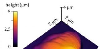 Tech: New NIST method measures 3D polymer processing precisely — (Report)