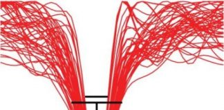 Study: Seizures begin with a muffle — (Details)