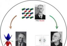 Tech: Heusler, Weyl and Berry — (Report)