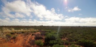 Offbeat: Indigenous fire practice protecting the Gibson Desert’s biodiversity —