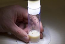 Research: Reproductive strategy drives slower female aging —