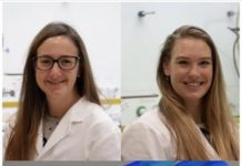 Research: New research has now shown that certain perovskites in fact do have this desirable property —