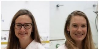 Research: New research has now shown that certain perovskites in fact do have this desirable property —