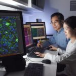 Study: Scientists accidentally reprogram mature mouse GABA neurons into dopaminergic-like neurons — (Details)