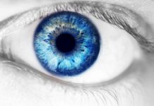 Research: Human retinas grown in a dish explain how color vision develops —