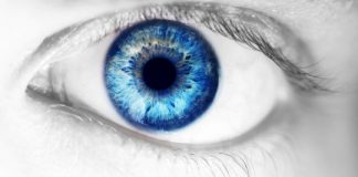 Research: Human retinas grown in a dish explain how color vision develops —