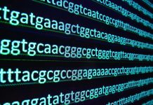 Offbeat: Computational model links family members using genealogical and law-enforcement databases —