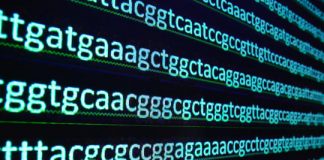 Offbeat: Computational model links family members using genealogical and law-enforcement databases —