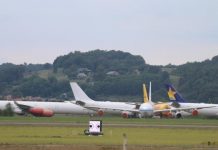 Tech: Optical illusion spooks raptors — (Report)