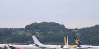 Tech: Optical illusion spooks raptors — (Report)