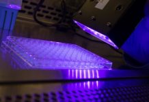 Research: Purdue researchers find light-active version of heme may help people infected with MRSA —