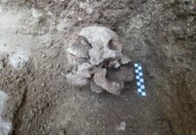 Research: ‘Vampire burial’ reveals efforts to prevent child’s return from grave —