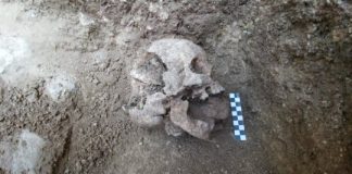 Research: ‘Vampire burial’ reveals efforts to prevent child’s return from grave —