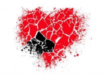 Research: A comprehensive resource for cardiac regenerative medicine —