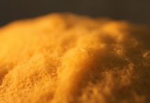 Research: Unravelling the genetics of fungal fratricide —