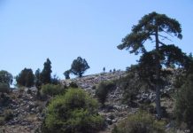 Research: Tracking the movement of the tropics 800 years into the past —