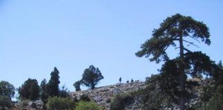 Research: Tracking the movement of the tropics 800 years into the past —