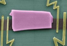 Tech: Exploring new spintronics device functionalities in graphene heterostructures — (Report)