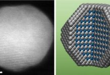 Tech: New, durable catalyst for key fuel cell reaction may prove useful in eco-friendly vehicles — (Report)