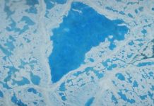 Research: Long-term melting may lead to release of huge volumes of cold, fresh water into the North Atlantic, impacting global climate. —