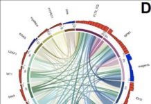 Research: Vast leukemia dataset could help researchers match therapies to patients —