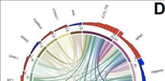 Research: Vast leukemia dataset could help researchers match therapies to patients —