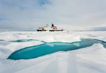 Research: Study provides new data on distribution of marine communities in the deep, dark, cold —