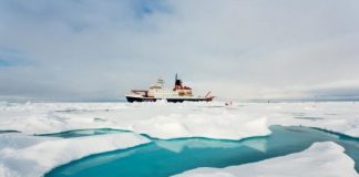 Research: Study provides new data on distribution of marine communities in the deep, dark, cold —