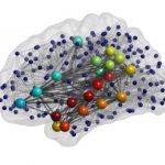 Study: How does brain structure influence performance on language tasks? (Details)