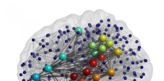 Study: How does brain structure influence performance on language tasks? (Details)