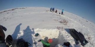 Research: Study finds shrubs trap snow, creating permanently thawed zones that destroy permafrost and create pathways for increased water and carbon flow —