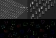 Research: Stars, triangles and pentagons demonstrate the adaptability and robustness of bacterial cell division machinery —