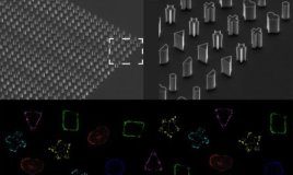 Research: Stars, triangles and pentagons demonstrate the adaptability and robustness of bacterial cell division machinery —
