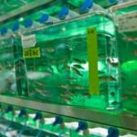 Study: Gene-edited zebrafish models take disease research to the next level — (Details)