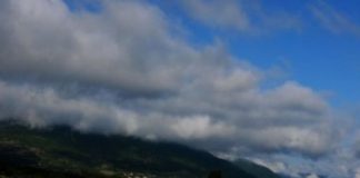 Research: Study links genes to social behaviors, including autism —