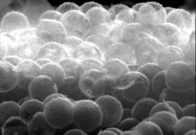 Tech: Nanodiamonds as photocatalysts — (Report)