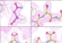 Research: Inconsistency in the molecular makeup of vectors is a key concern in scaling up gene therapy production for patients —