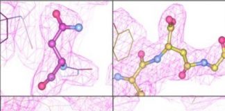 Research: Inconsistency in the molecular makeup of vectors is a key concern in scaling up gene therapy production for patients —