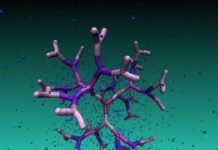 Tech: How DNA-based dendrimers transport nanoparticles — (Report)