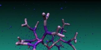 Tech: How DNA-based dendrimers transport nanoparticles — (Report)