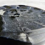 Study: Researchers wake-up DNA from soil bacteria to discover novel acid antibiotic — (Details)