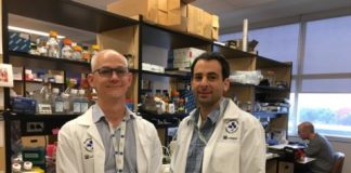 Study: Targeted strategy holds promise for acute myeloid leukemia — (Details)