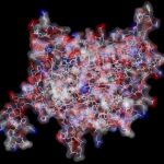 Study: New mechanism of action in a first-line drug for diabetes — (Details)